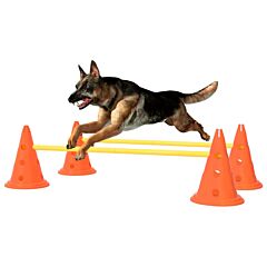 Dog Activity Obstacle Set Orange and Yellow