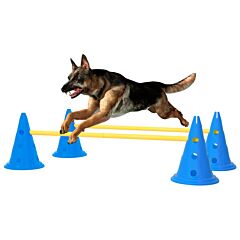 Dog Activity Obstacle Set Blue and Yellow