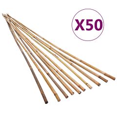 Garden Bamboo Stakes 50 pcs 150 cm